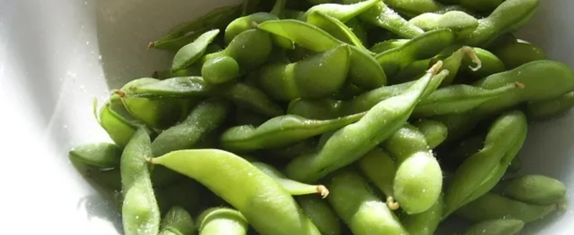 Edamame Beans